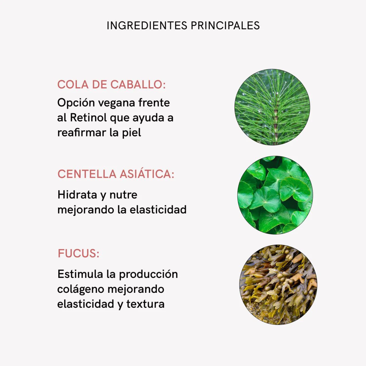 Imagen del producto 8