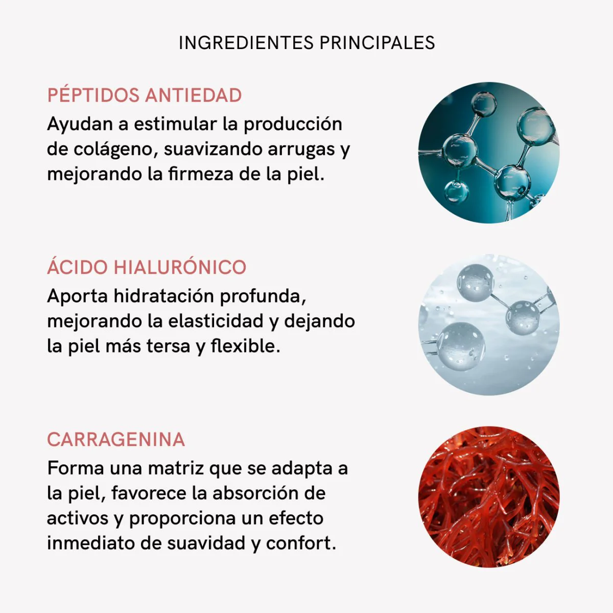 Imagen del producto 8