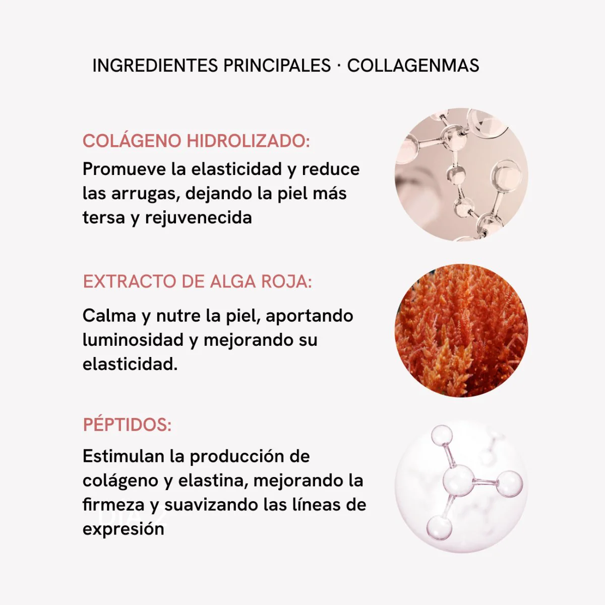 Imagen del producto 11