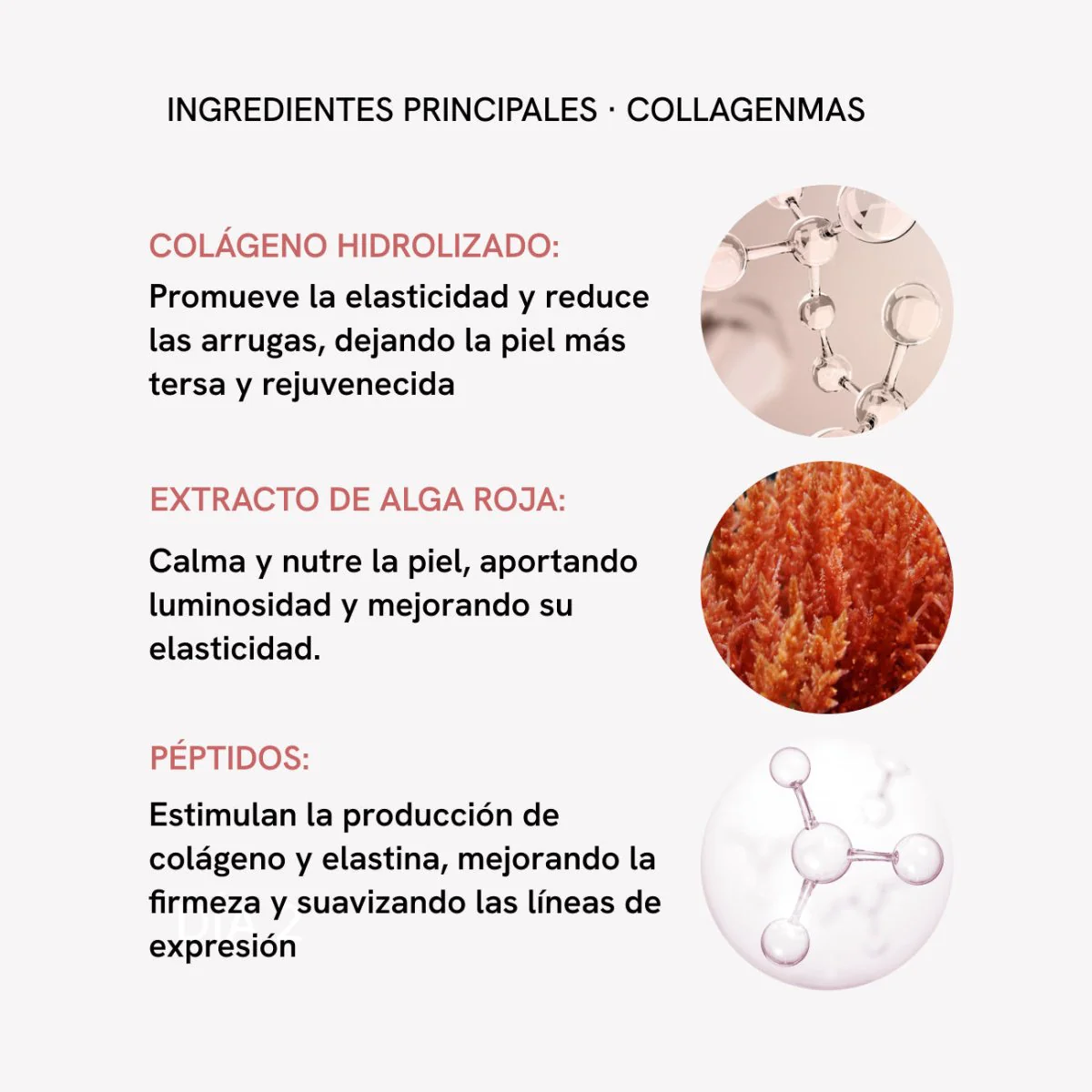 Imagen del producto 12