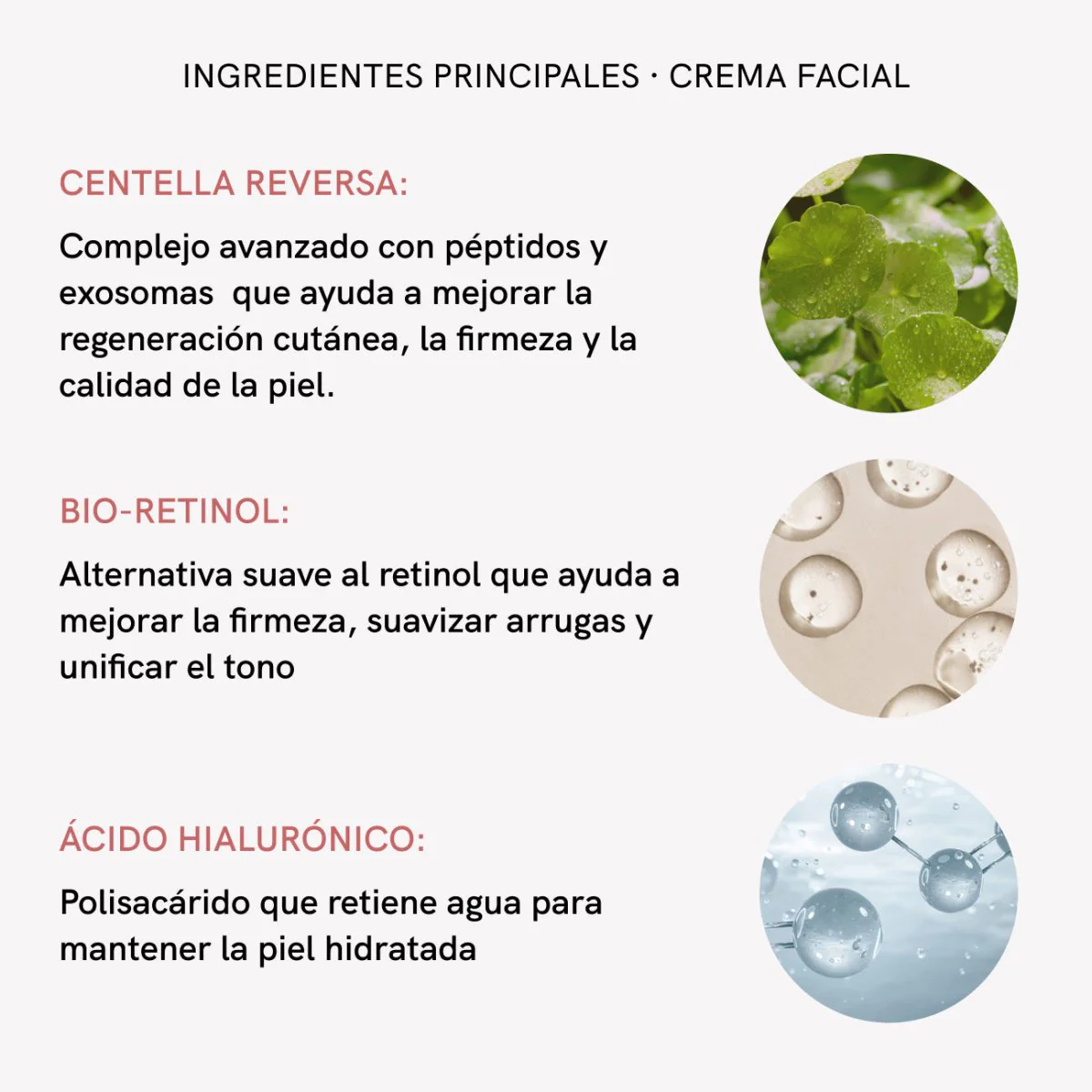 Imagen del producto 11
