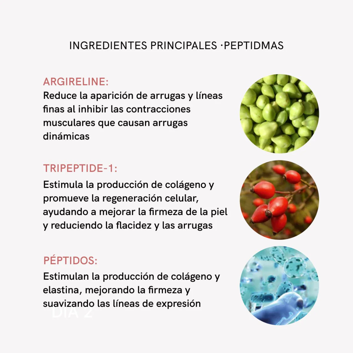 Imagen del producto 12