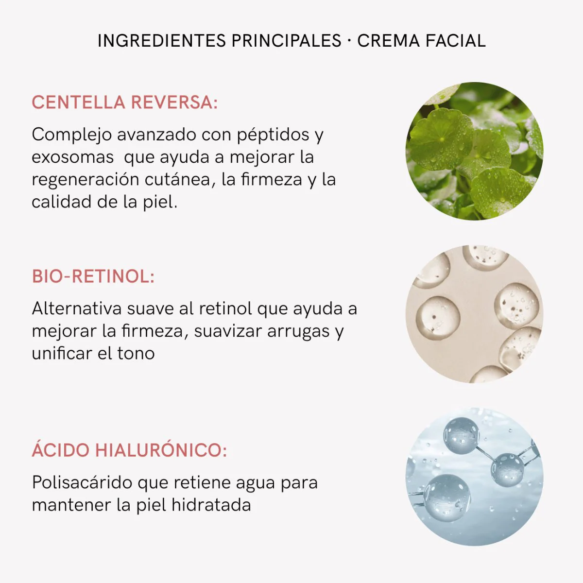 Imagen del producto 11