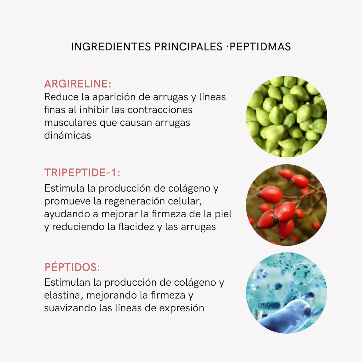 Imagen del producto 12