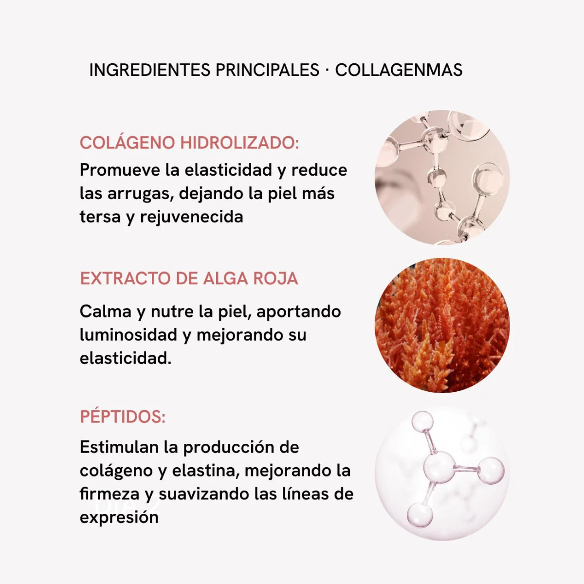 Imagen del producto 9