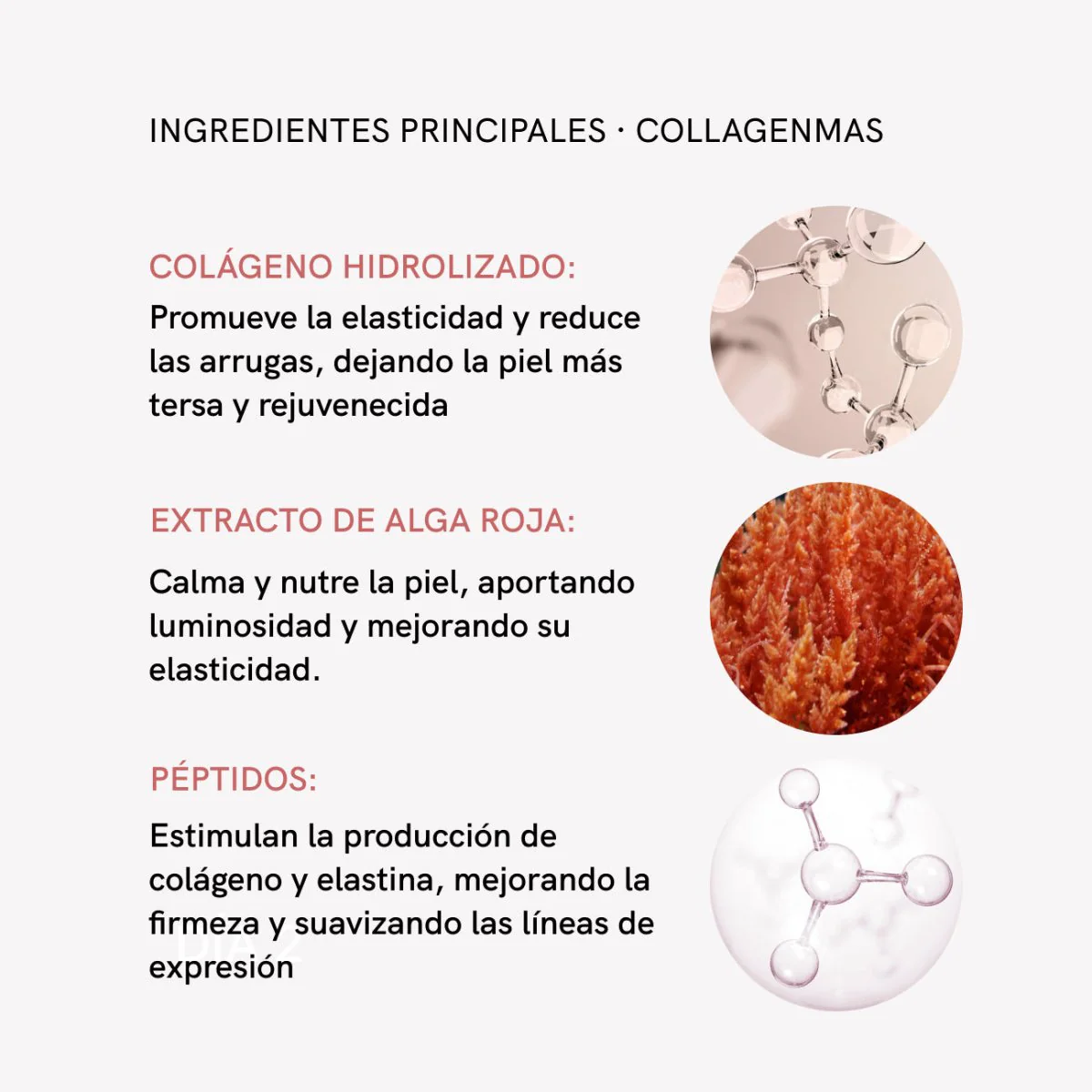 Imagen del producto 11
